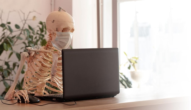 Skeleton in a medical mask using a computer in the office