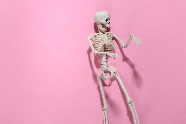 Skeleton on pink bright. Halloween decoration, scary theme