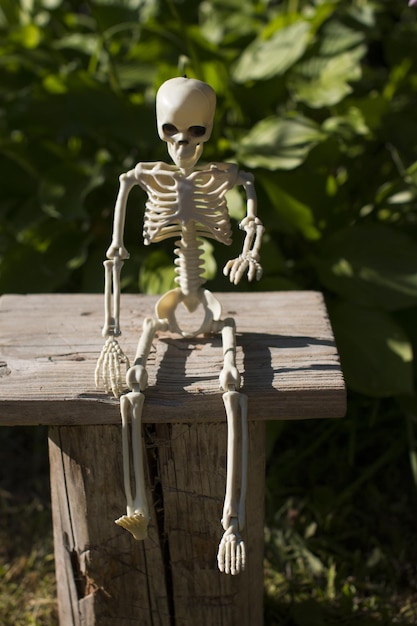 A skeleton sitting on a bench Celebrating Halloween