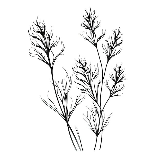 Sketch milfoil ai generated