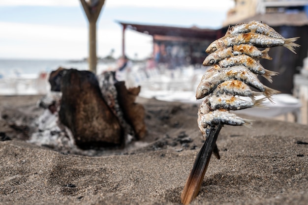 Skewers of sardines pricked over grilled earth on the Spanish coast