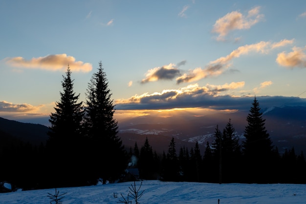 Ski piste and chair lift with snow covered trees on sunny day. Combloux ski area, French alps