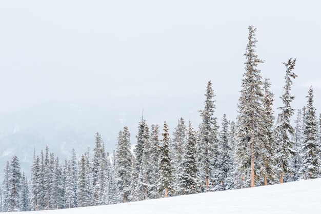 Ski resort at the end of the season after the snow storm in Colorado.