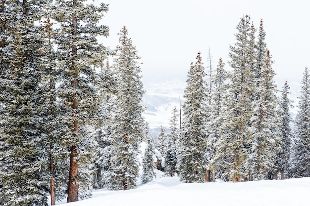 Ski resort at the end of the season after the snow storm in Colorado.