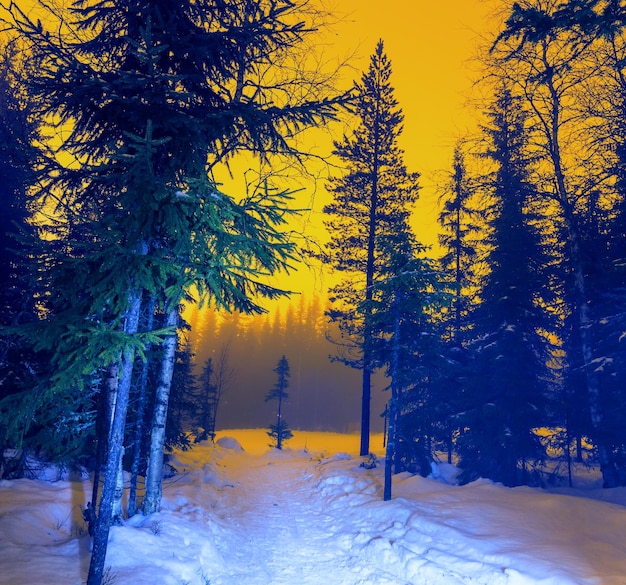 Ski resort at night