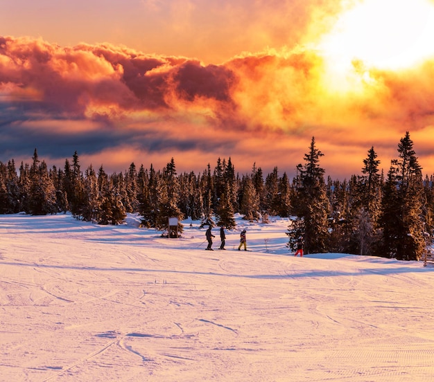 Ski resort