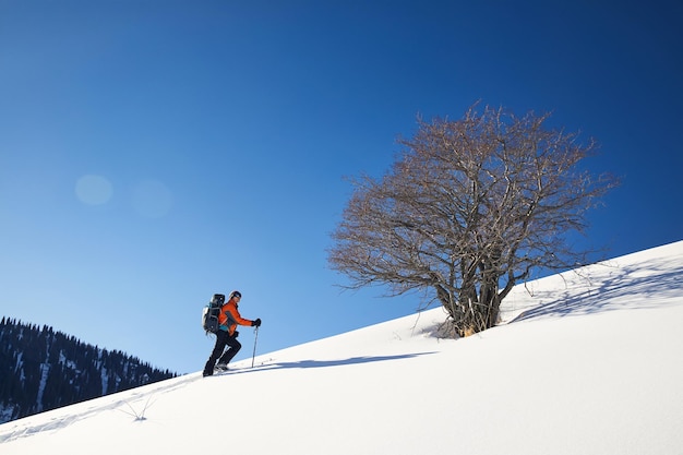 Ski touring on the fresh powder snow