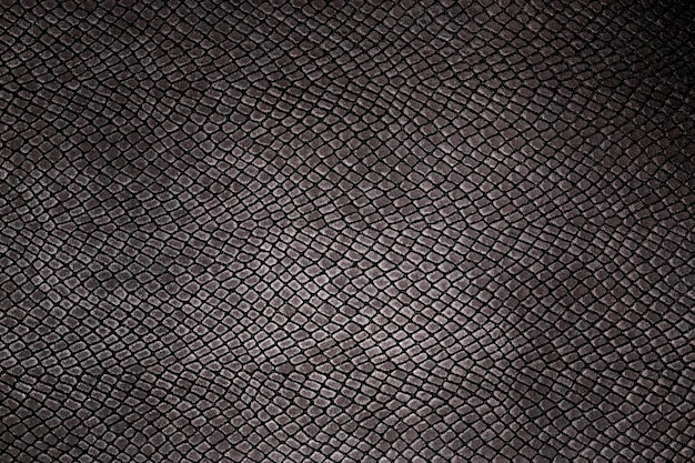 Skin reptile texture