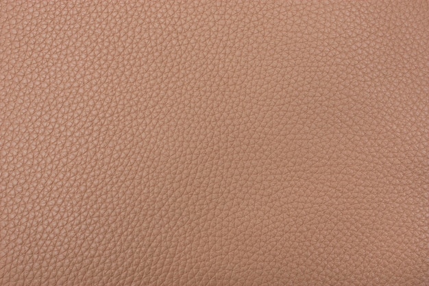 Skin Texture