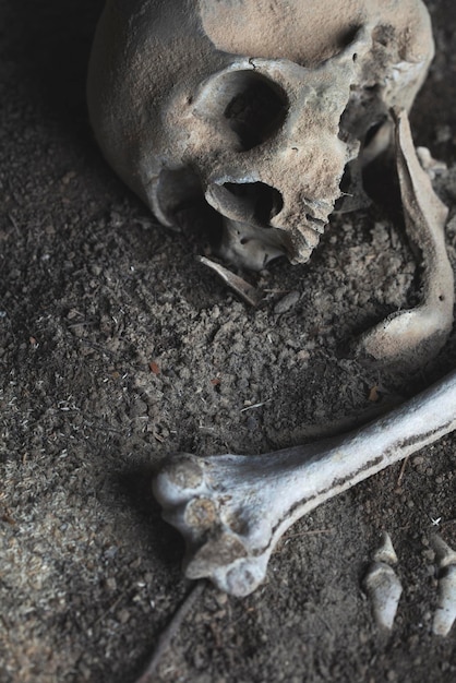 Skull and human bones buried