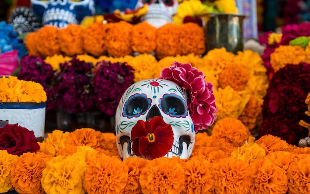 a skull with a flower on it sits among flowers