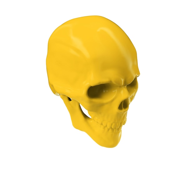 Skull with Jaw Open Left 3d render