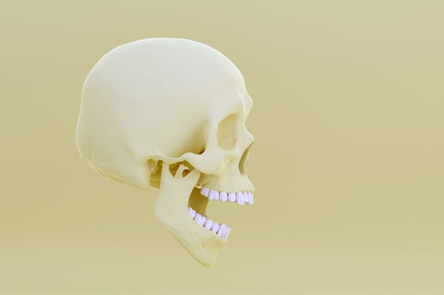 Skull with open jaw isolated on yellow