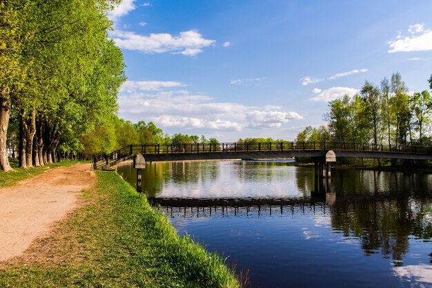 The sky and clouds are reflected in the water, the lake among the green trees