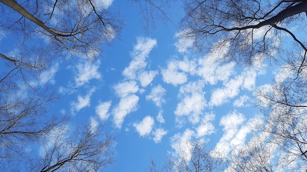 Photo a sky full of clouds with a blue sky and a few clouds