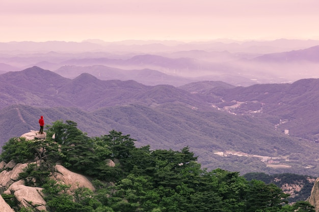 Sky Mountains and Forest in the morning Bukhansan National Park at Sunrise in Seoul South Korea