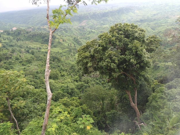 Sky View in day hill track