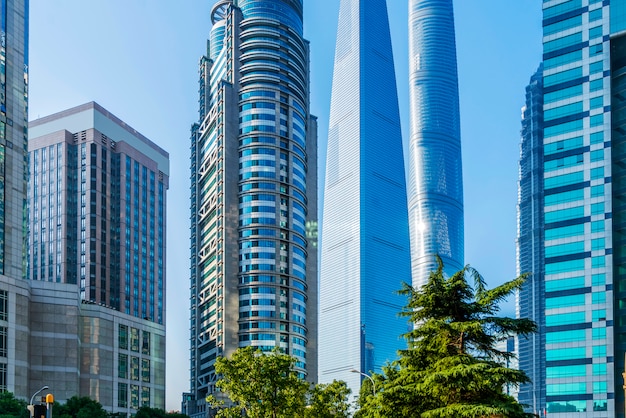 Skyscrapers from a low angle view 