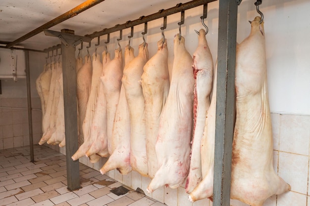 Slaughter of a pig, Carcasses of pigs, Ham pork, Hanged carcasses of pigs