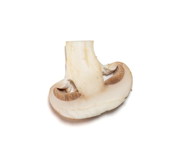 A slice of champignons on a white background