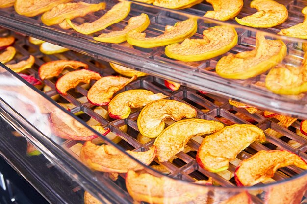 Sliced apples in the food dryer