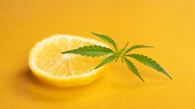 Sliced lemons with marijuana leaves on yellow background.