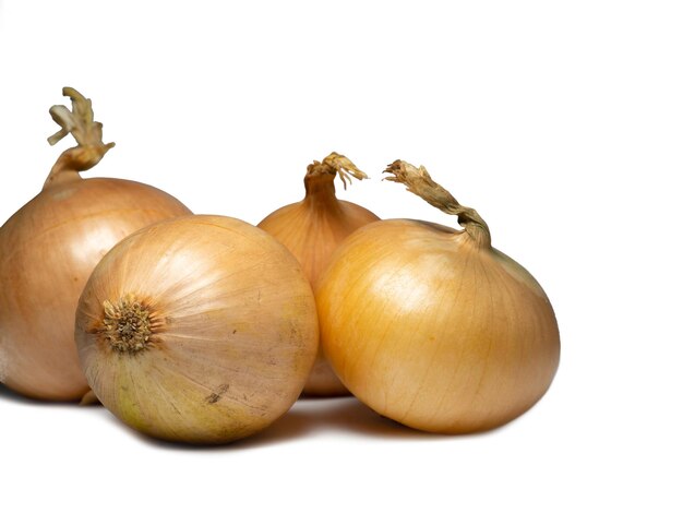 Sliced onion on a white background Root isolate Spices for the kitchen