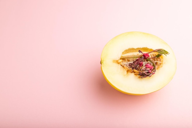 Sliced ripe yellow melon and dicentra flowers on pink pastel background Side view copy space