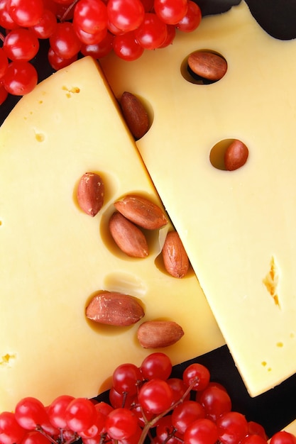 Slices of hard yellow cheese with nuts and berries on a black plate on a blue background Closeup of hard cheese slices with big holes