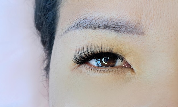 Slose up of eye with eyelash extensions in beauty salon macro eye