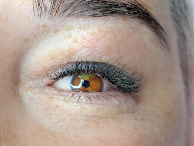 Slose up of eye with eyelash extensions in beauty salon