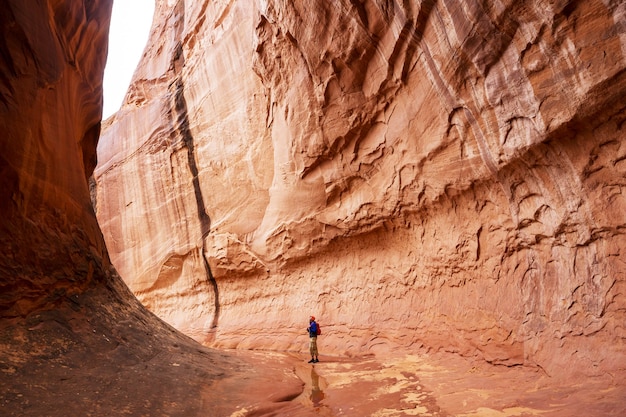 Slot canyon in Grand Staircase Escalante National park, Utah, USA.