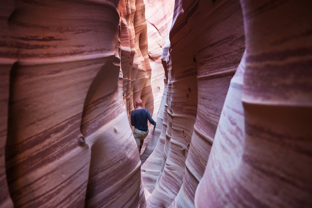 Slot canyon in Grand Staircase Escalante National park, Utah, USA.