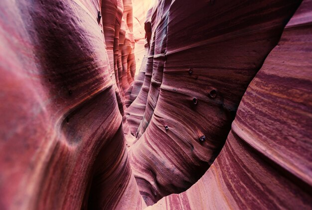 Slot canyon in Grand Staircase Escalante National park, Utah