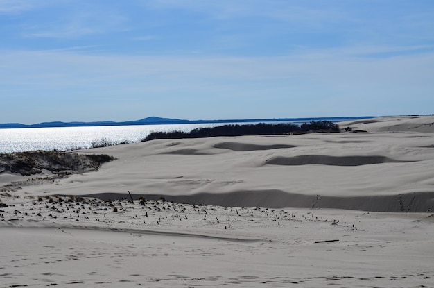 Slovinski national park Leba sand dune on the Baltic coast Poland Europe