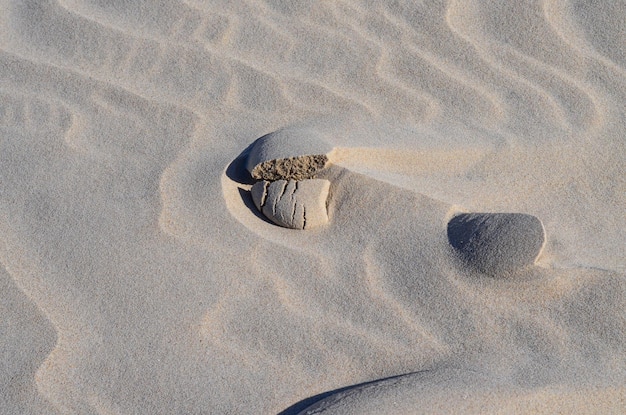 Slovinski national park Leba sand dune on the Baltic coast Poland Europe