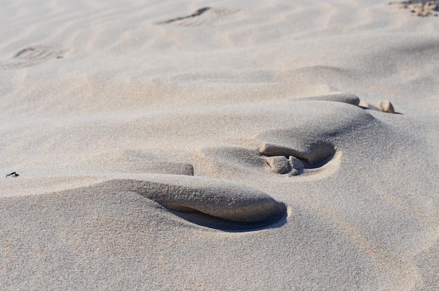 Slovinski national park Leba sand dune on the Baltic coast Poland Europe