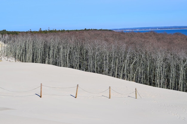 Slovinski national park Leba sand dune on the Baltic coast Poland Europe