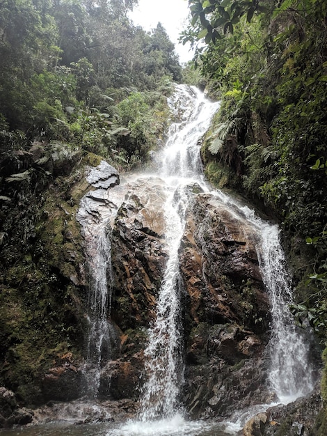 smal waterfall in the mountains