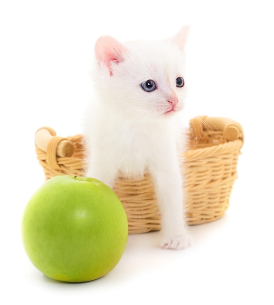 Smal white kitten and apple