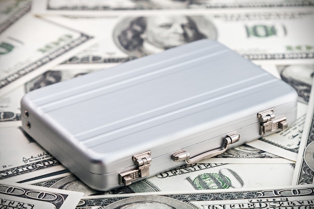 Small aluminum case for the dollar 