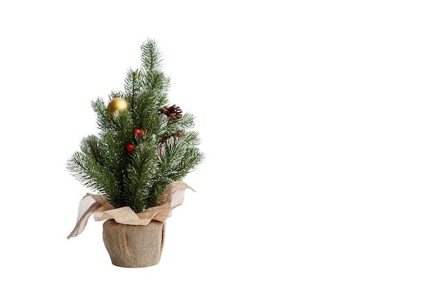 Small artificial Christmas tree in burlap New Year holidays Closeup Isolated on white background Space for text