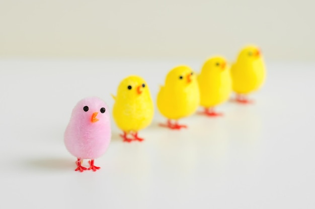 Small baby chicken toy of pink color and many chickens of yellow color