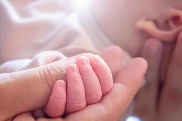 Small baby hand in mothers hand closeup