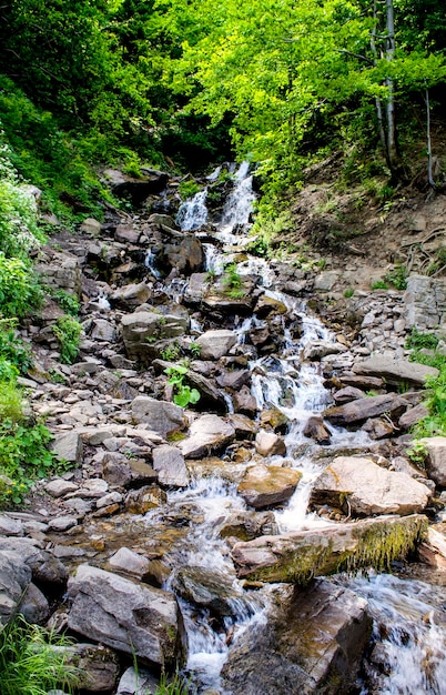 Small, beautiful waterfall in the Carpathians in summer