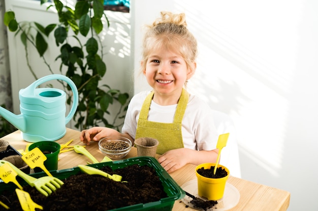 A small blonde girl in an apron is engaged in planting seeds for seedlings, smiling, the concept of children's gardening.