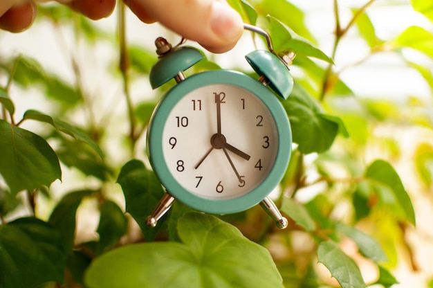 A small blue alarm clock showing 4 hours of time in your hand on a green blurry background