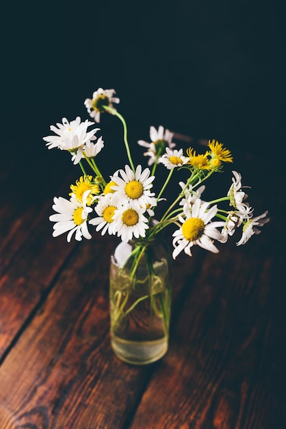 Small bouquet of wild chamomile flowers