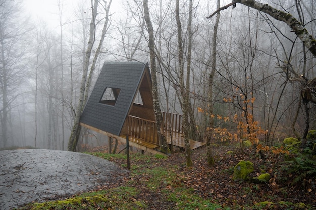 Small cabin in nature on foggy day