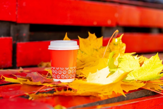 Small cardboard blank takeaway coffee cup on bench in autumn Fallen leaves Closeup Warm up with aromatic coffeeHot drinkseason advertisement and drinks concept mock up